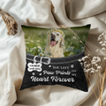 Pillow - Square - all color 2