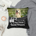 Pillow - Square - all color 3