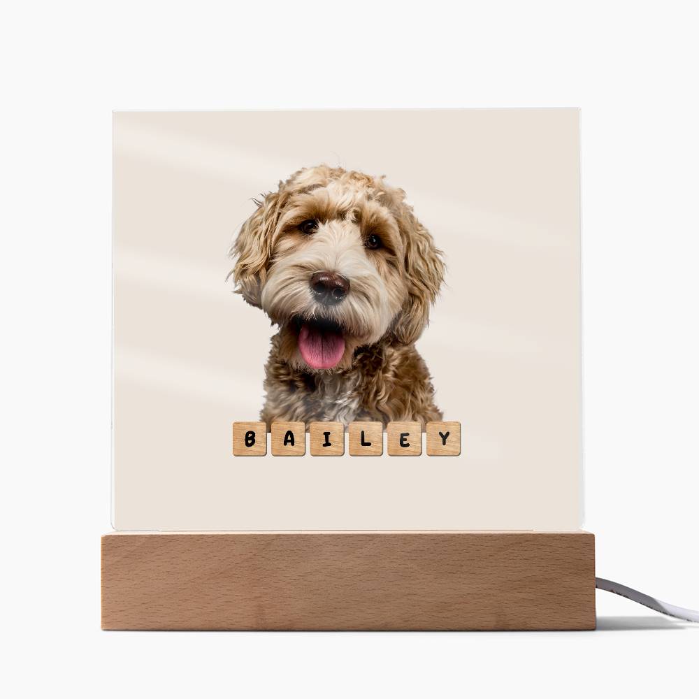 Personalized Acrylic - Dog Scrabble - Shopify product